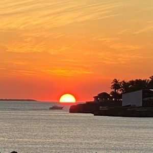 Meet your Posher, Adena